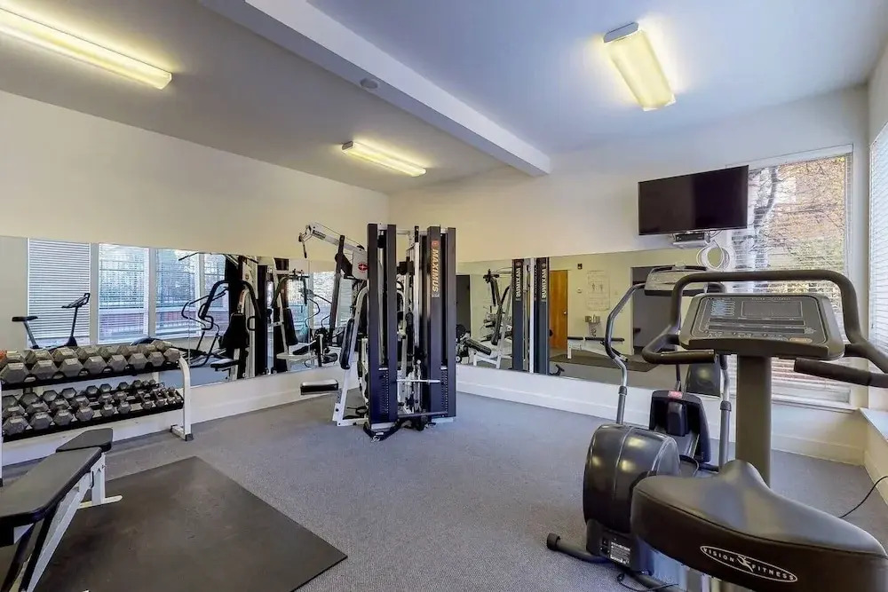 Snow Star Skylight - 3BD 3BA - Hot Tub, Gym, Walk to Ski!
