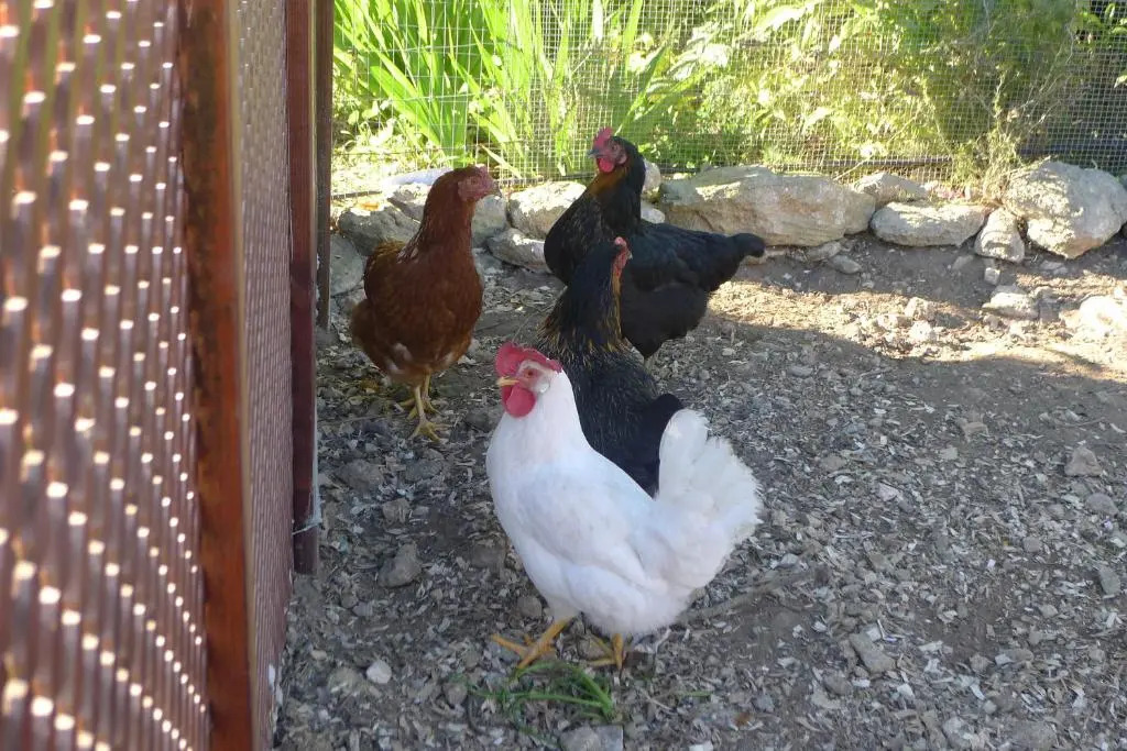 Finca Higueron