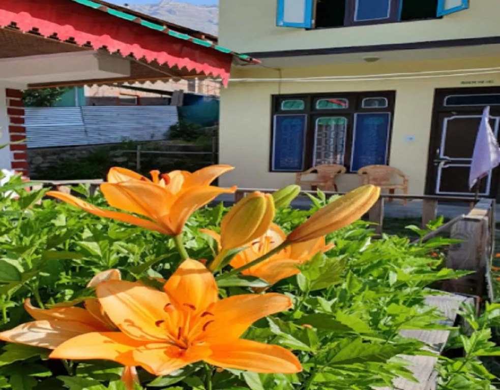 StayApart Shruti Guest House