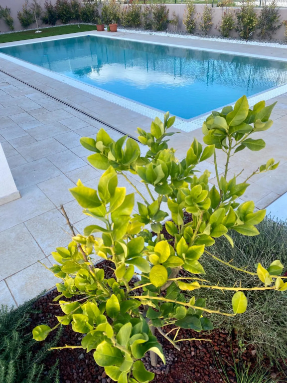 Brand new apartment in Monopoli, private pool, private parking, suitable for couples-Allegria Pool House