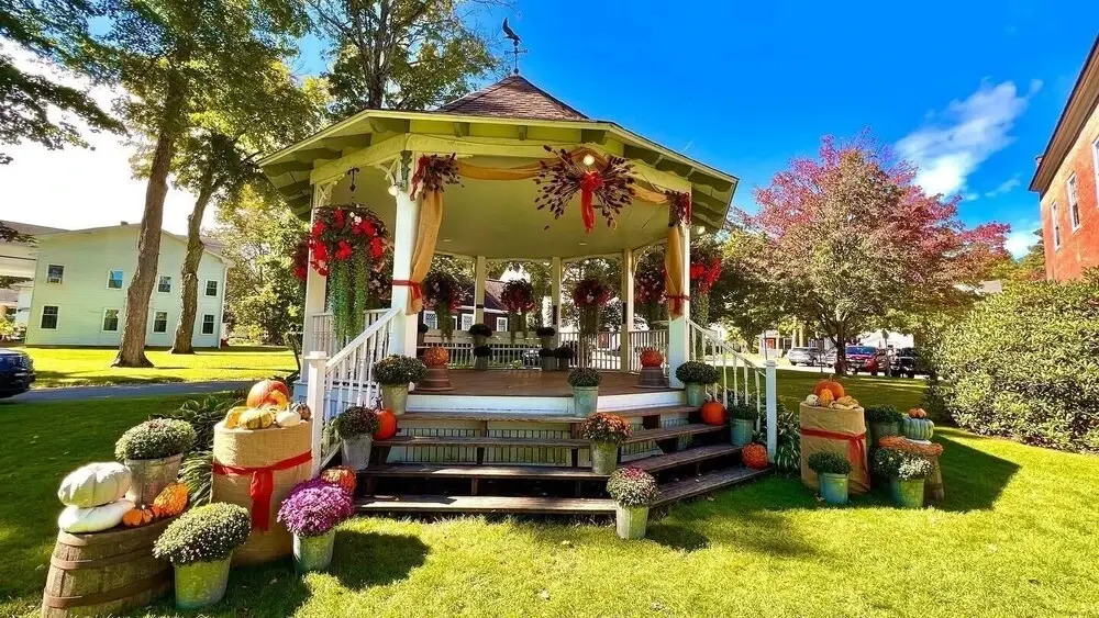 Wildflower 159 2 Bedroom Home by Redawning
