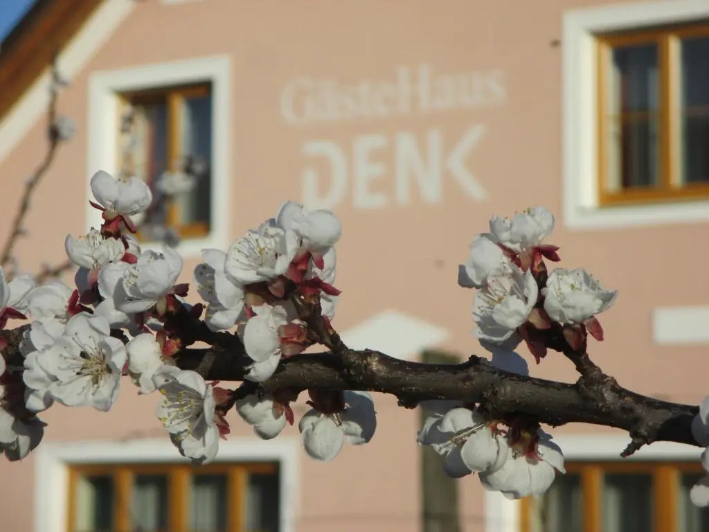 GästeHaus Rudolf u. Sandra DENK