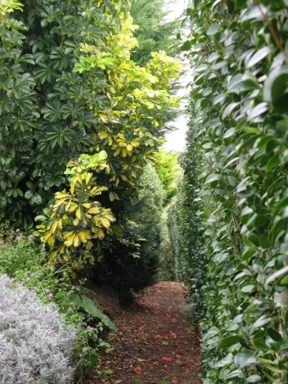 Quinta das Buganvílias