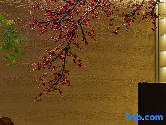 Hidden View | Designer's Private Customized Courtyard Homestay