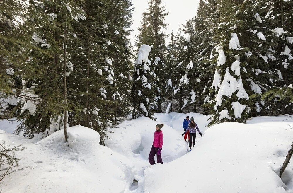 On the Run Chalet