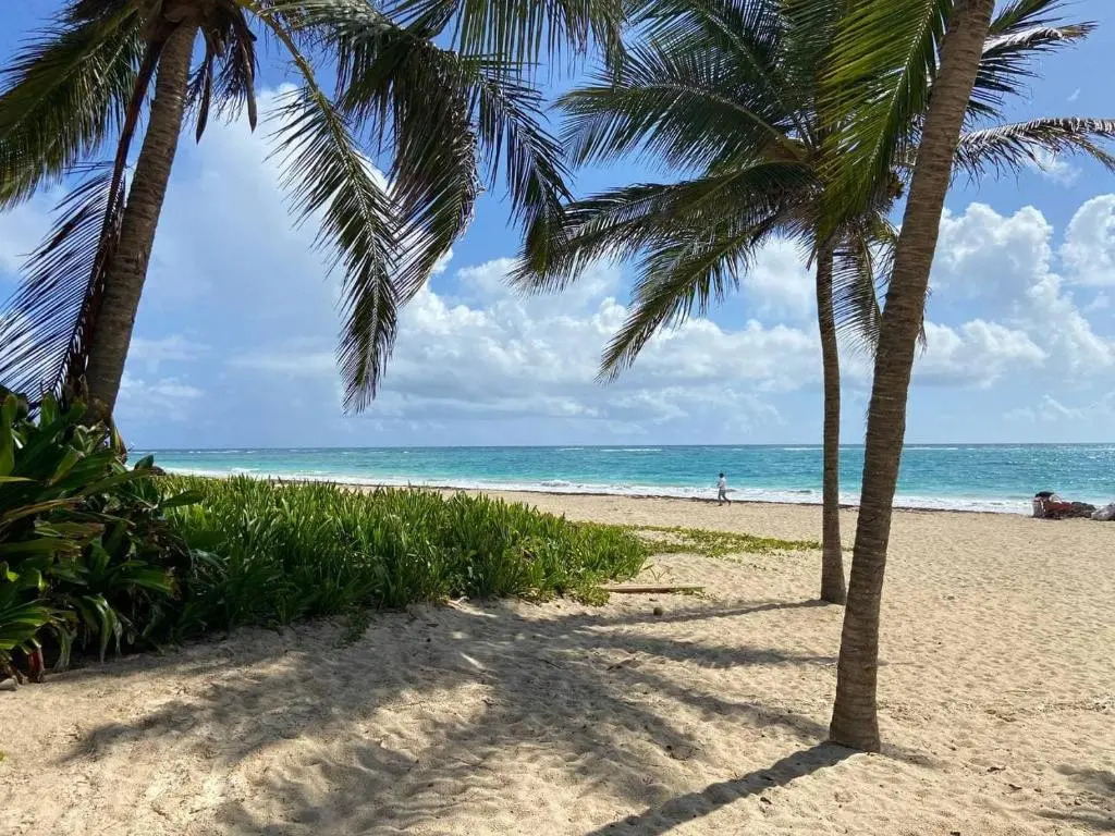 2 Rooms, 4 Beds, Pool, 5min Beach White Sand