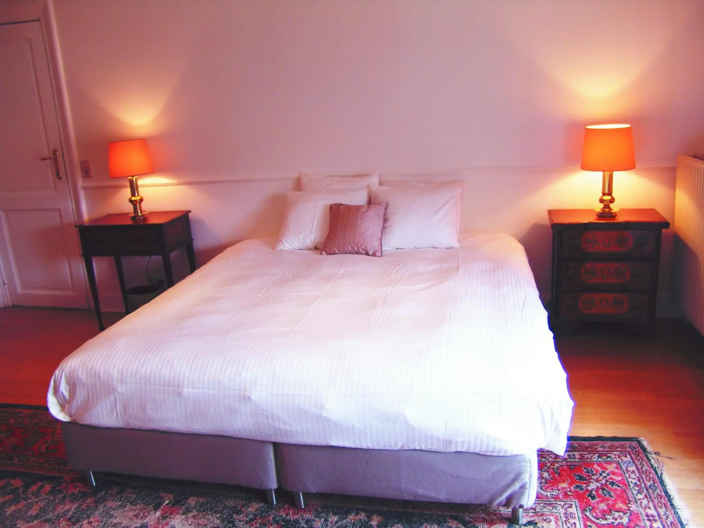 Apartment Brussels Louise Chatelain