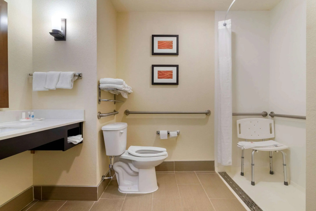 Comfort Inn & Suites Macon West
