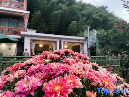 Zhulin Youju Hostel