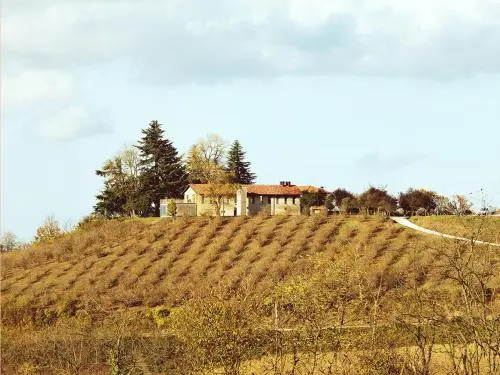Cascina Langa