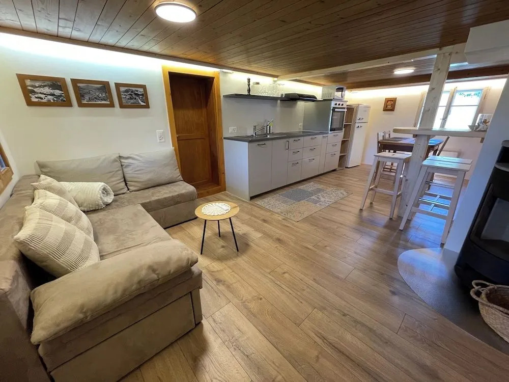 Alpenchalet Weidhaus Gstaad - Dachwohnung - Studio - Stockbettzimmer