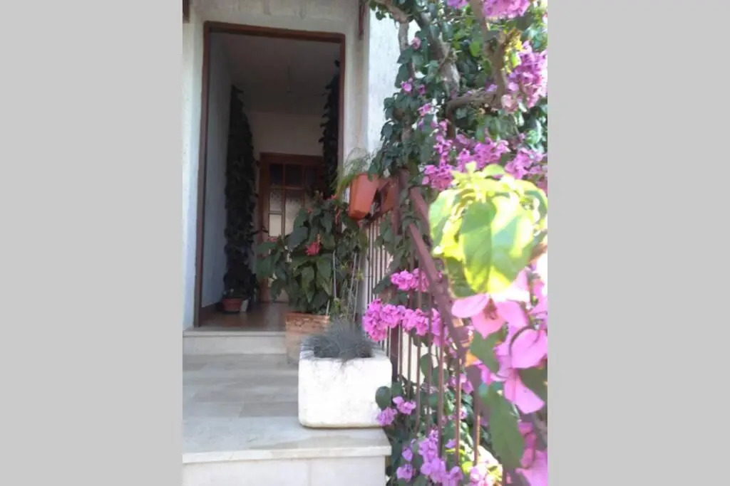 Rooms Luce 1 & Supetar