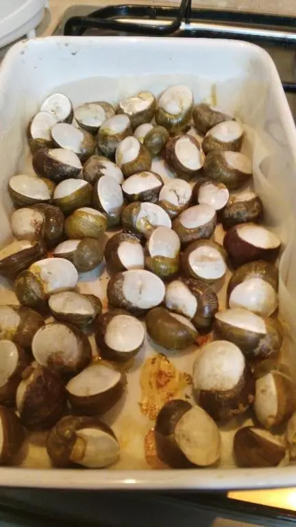 Sa Mendula