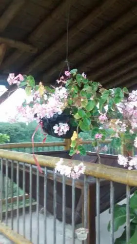 Finca Hotel el Diamante