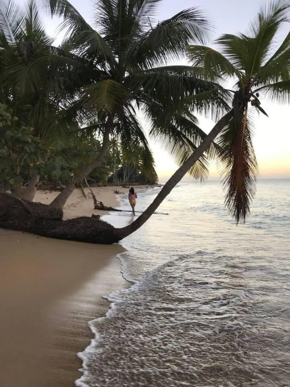 Piece of Paradise