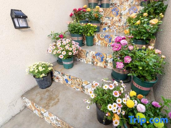 Holly Warm Castle Homestay