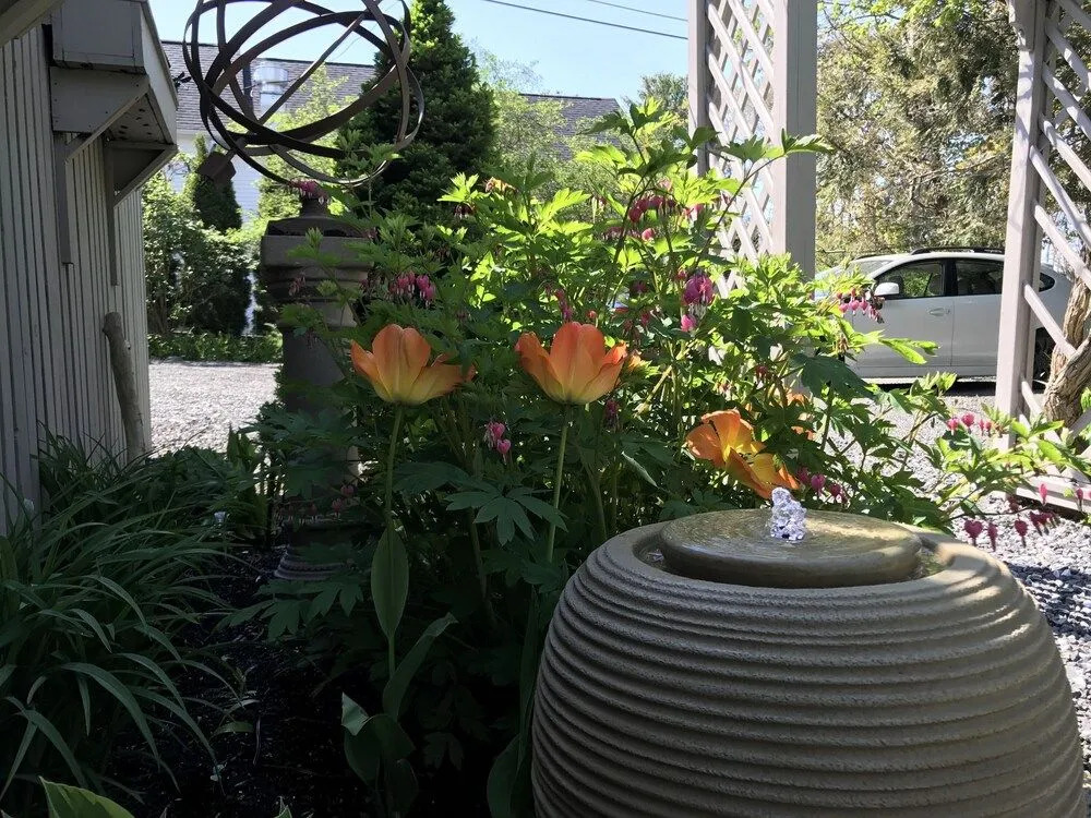 Dragonfly Guest House