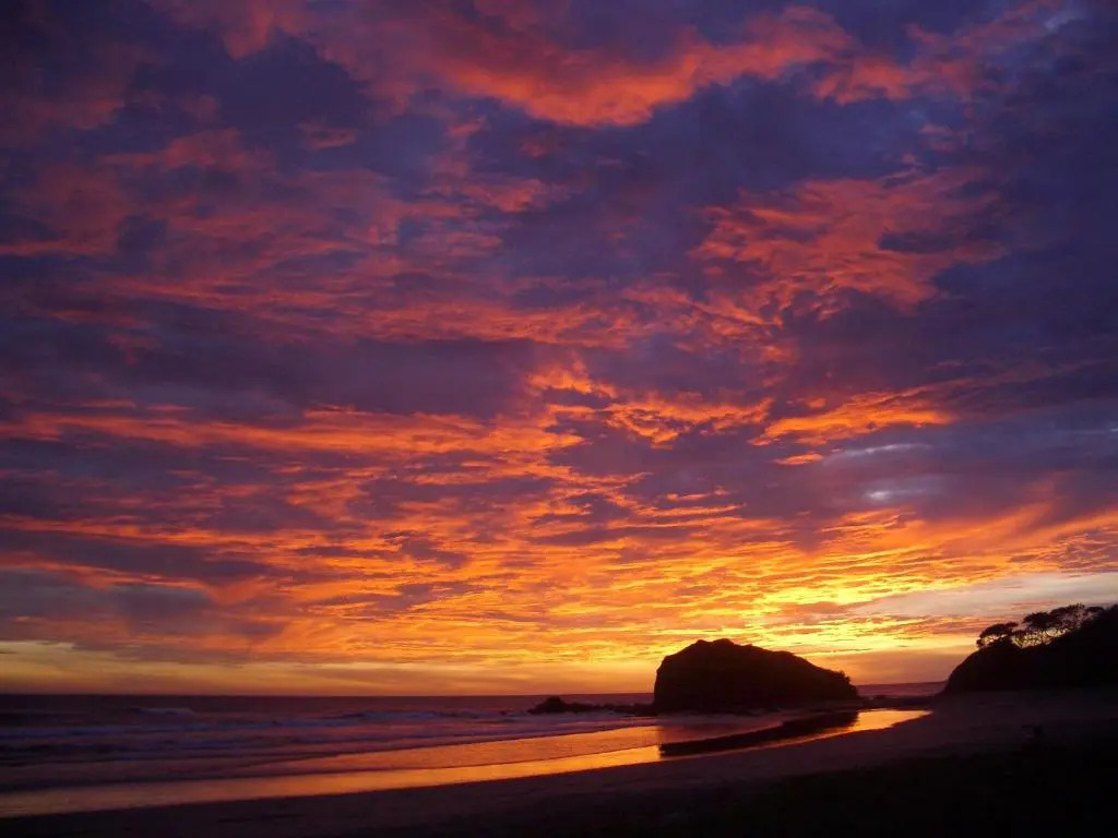 Playa Grande Surf Camp