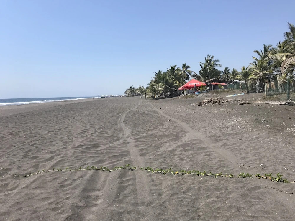 Cuyutlan Holistico
