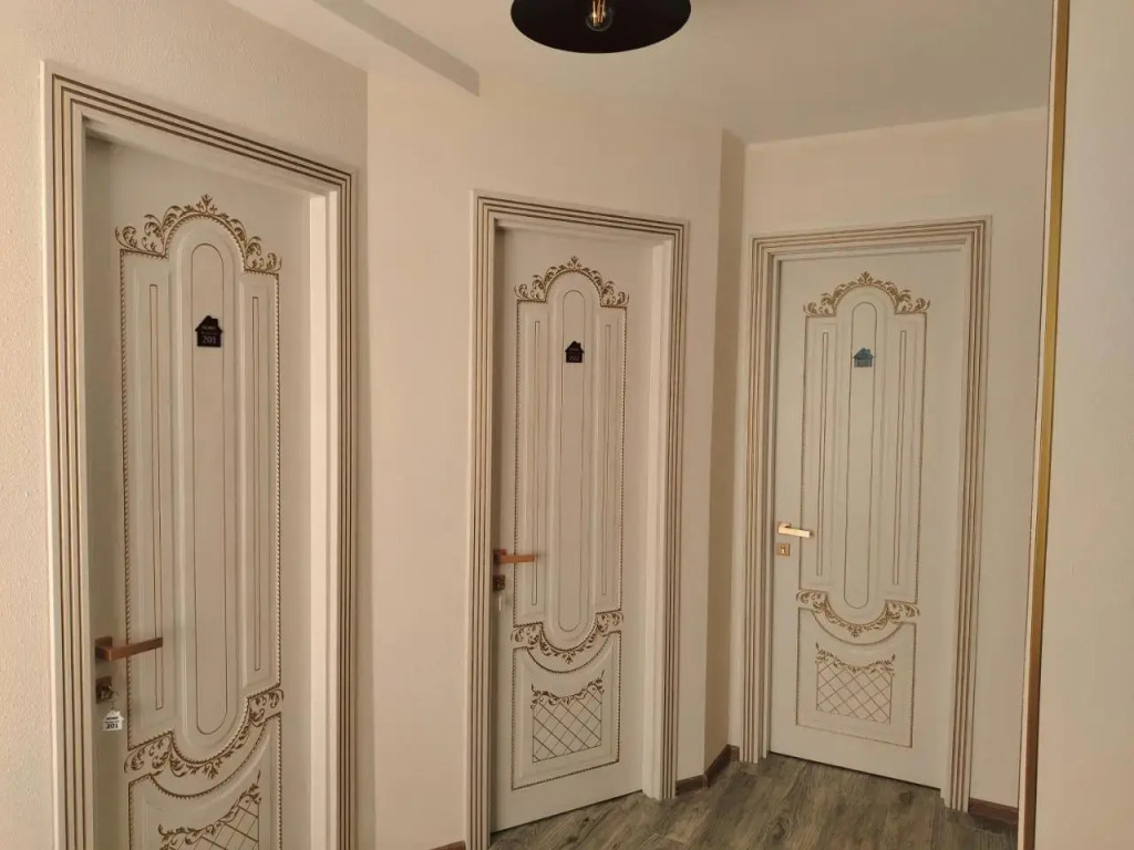 Shekvetili+
