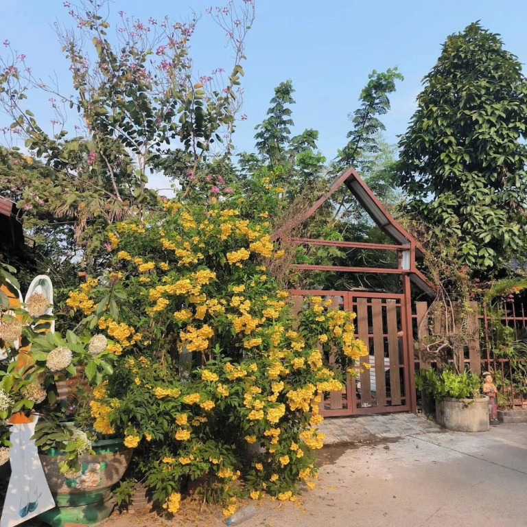 Anna Bungalow Vientiane