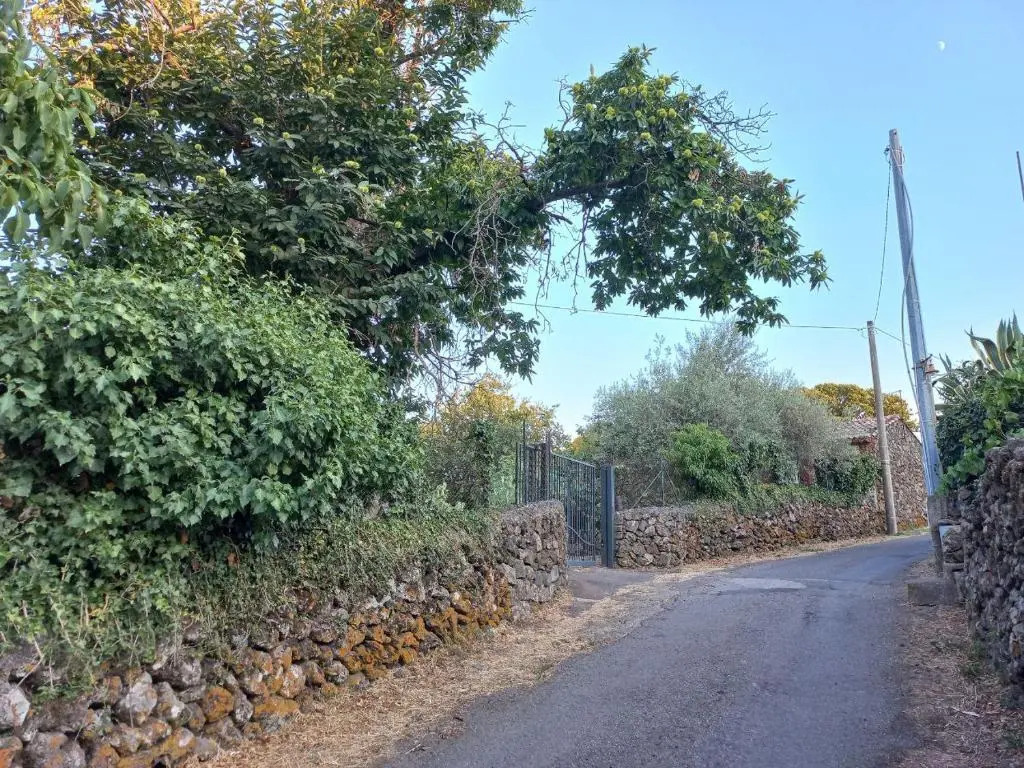 La casa di Bacco - Etna Country House - Affitto breve