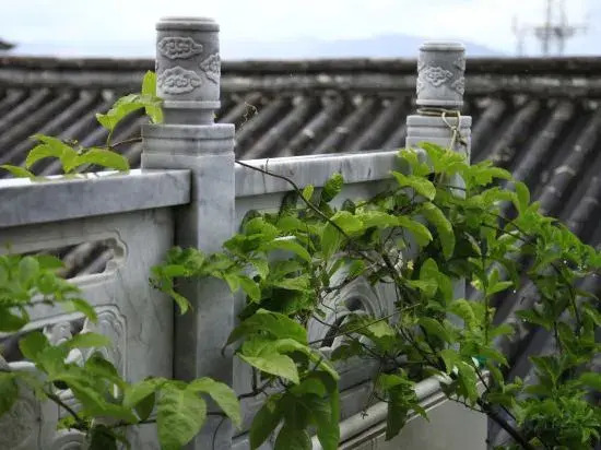 Lincang Yihai Hotel