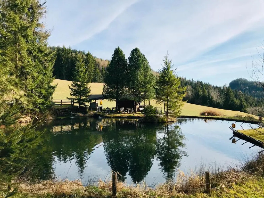 Forellenwirt Bacher