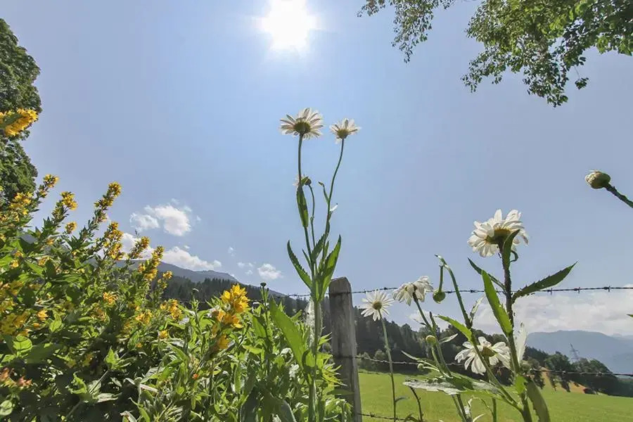 Ferienwohnung Schwalbenwandblick