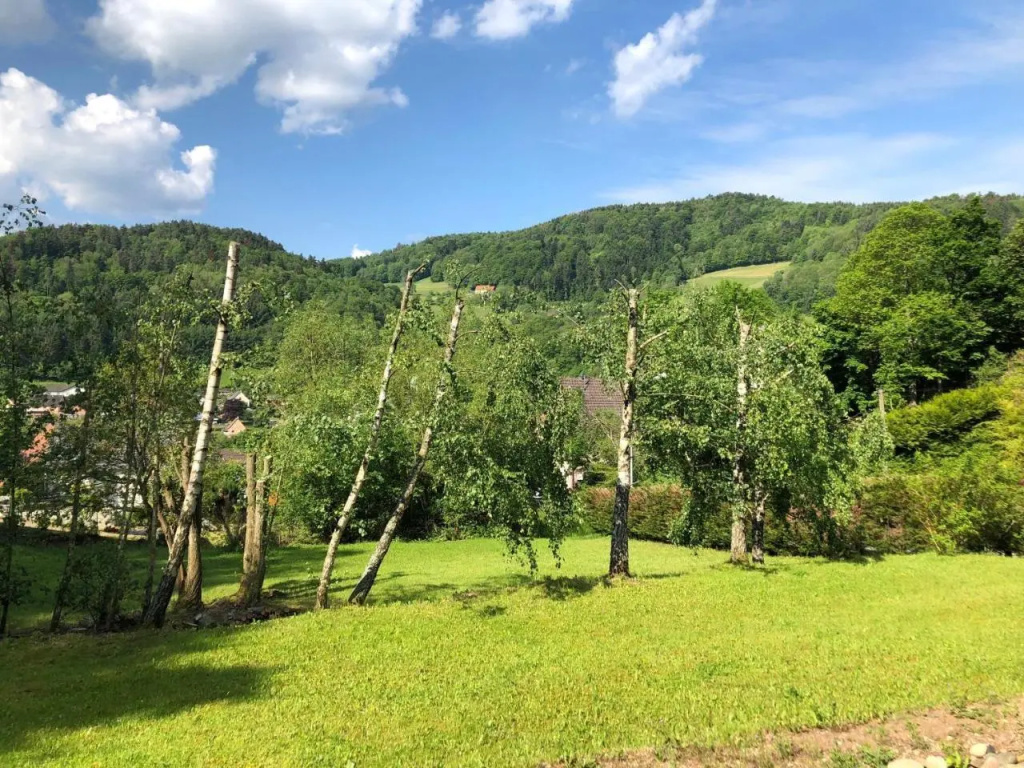 Chalet de Fréland