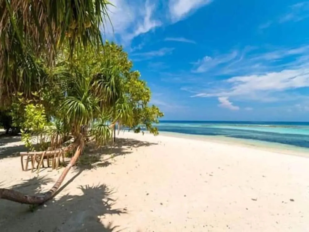 Beach Cottage