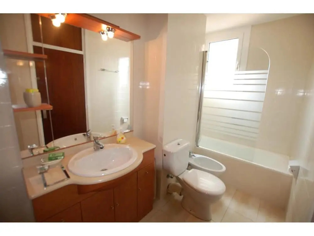 Tulipan 2
