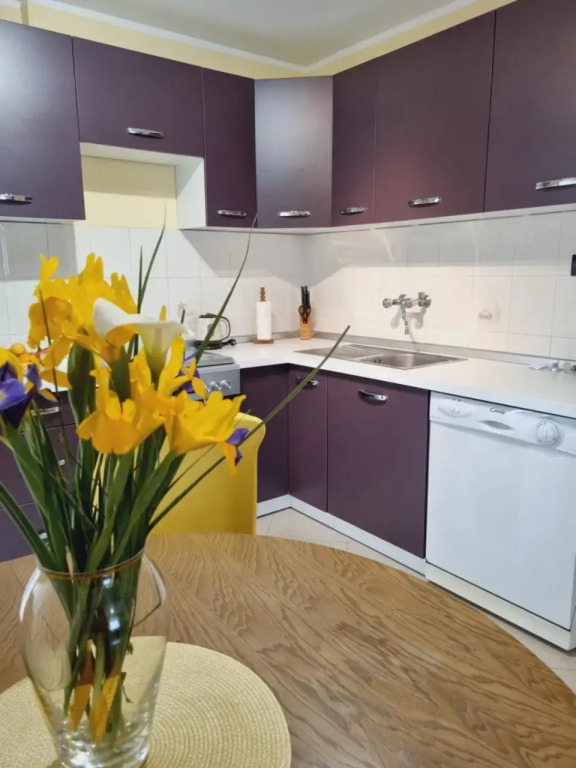 Apartment Sanja