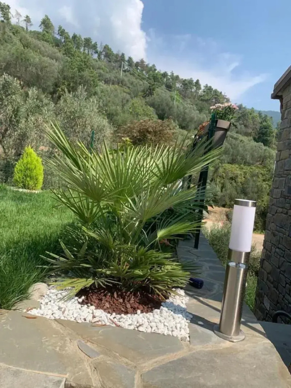 The Garden