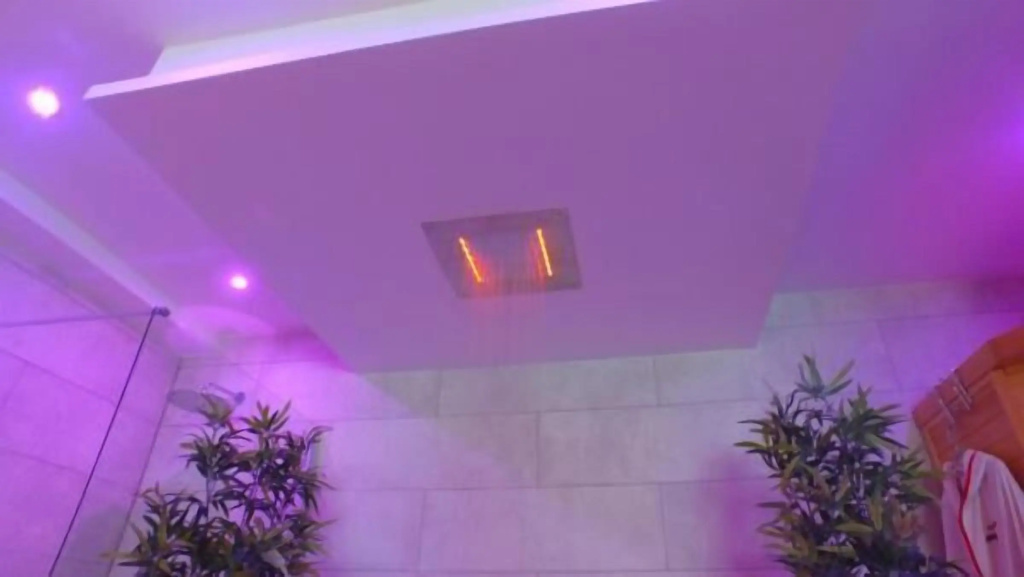 Loft & Spa Privatif