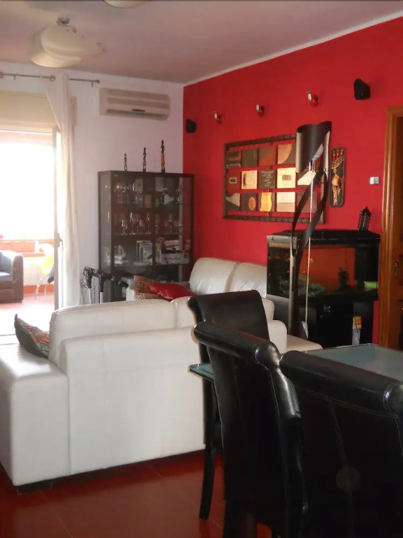 Olympus B&B
