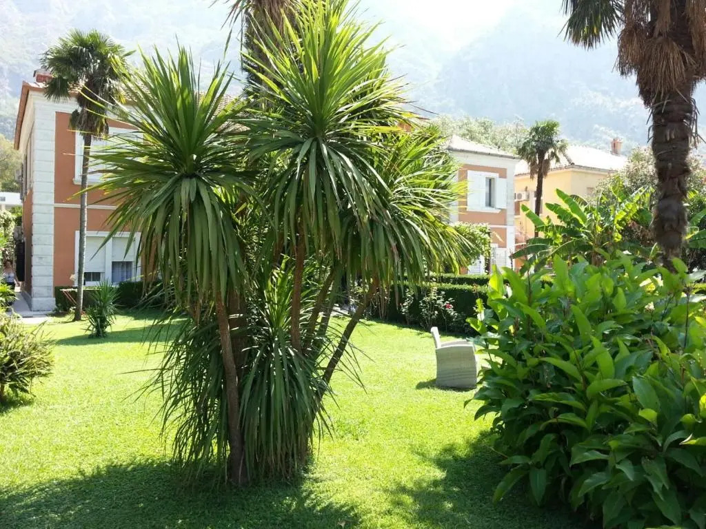 Apartments Vojin