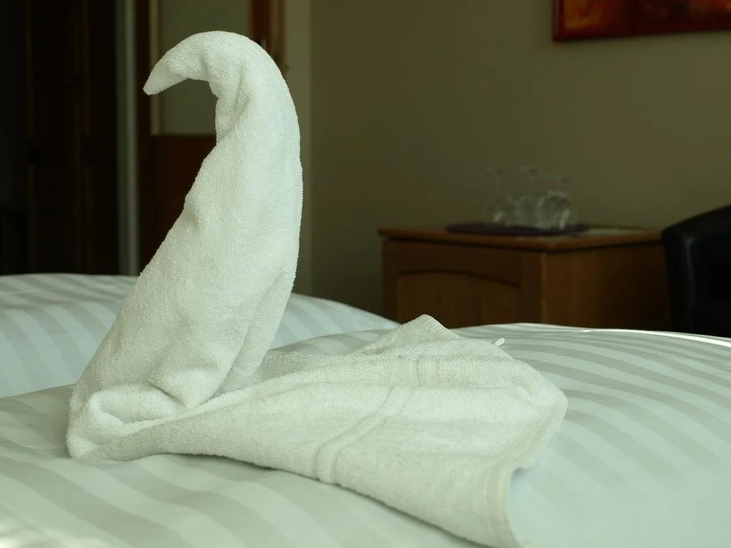 Hotel U Labutě