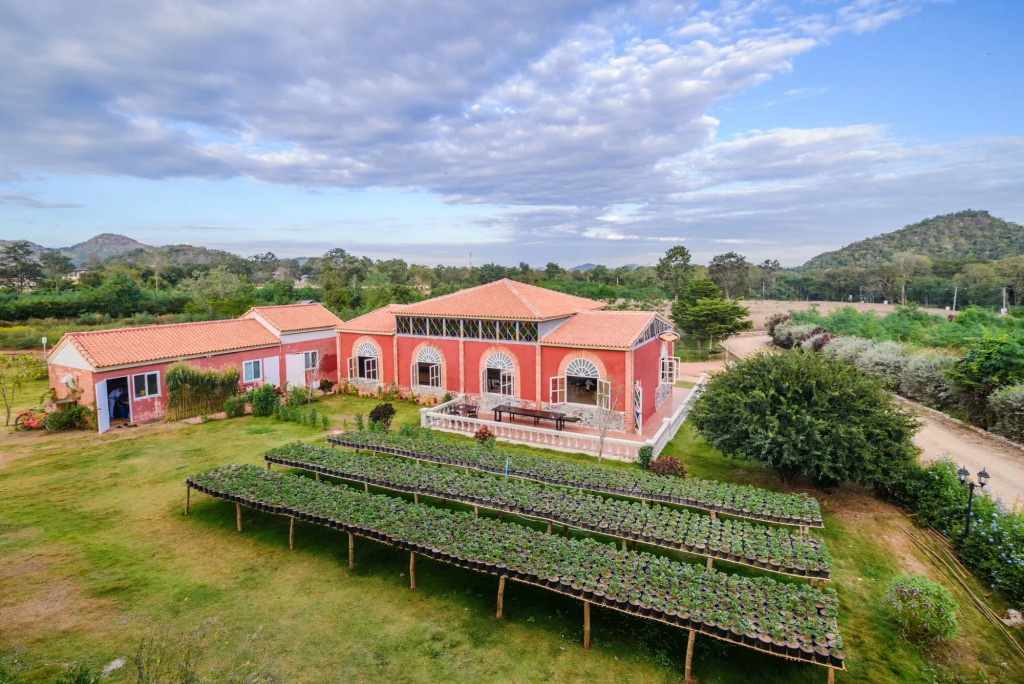 Davinci Di Khaoyai