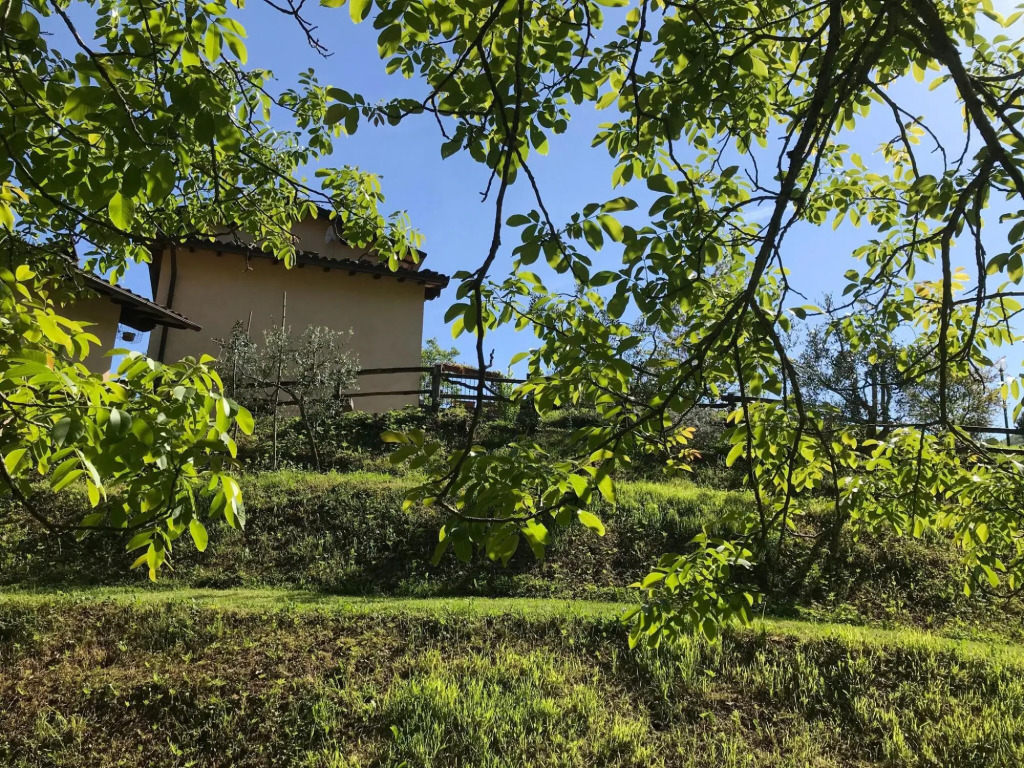 Graceful Cottage in Vergemoli with Private Fenced Garden