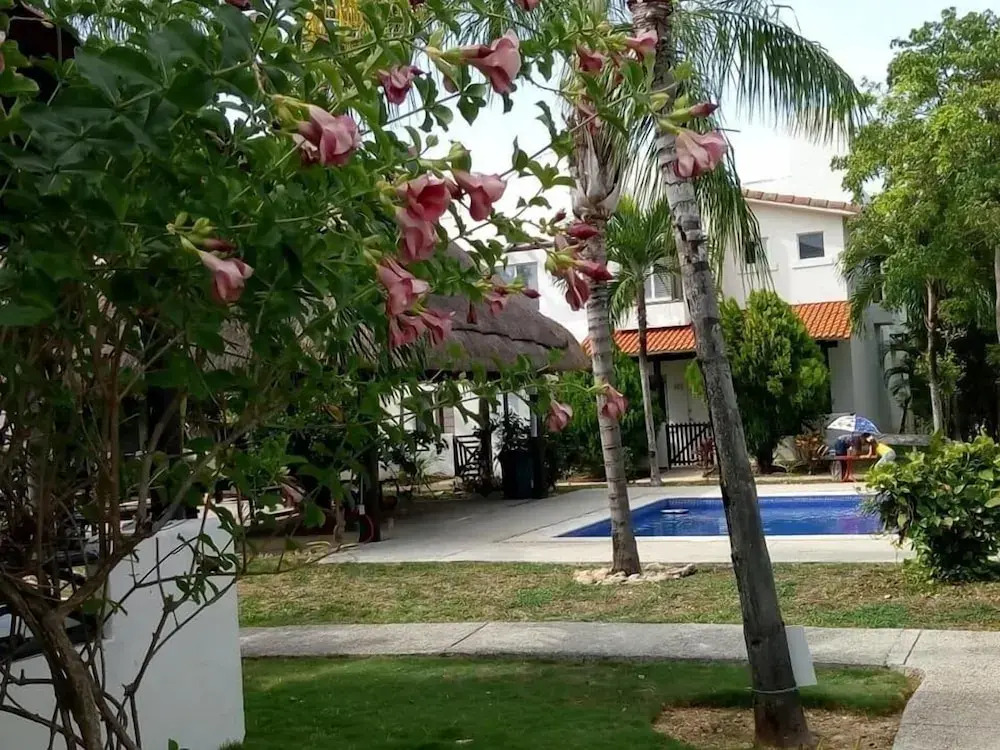 Casa Los Mikeles