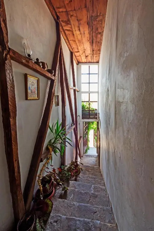 Hostel Pashov