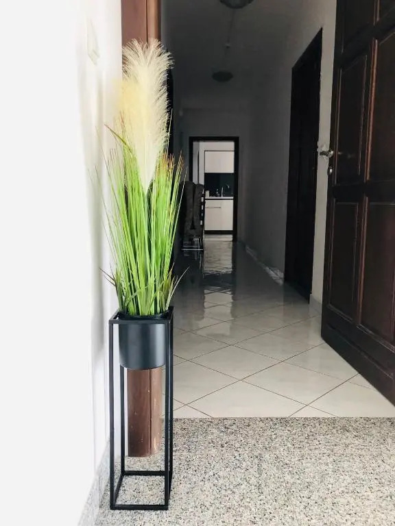 Apartments Angelo