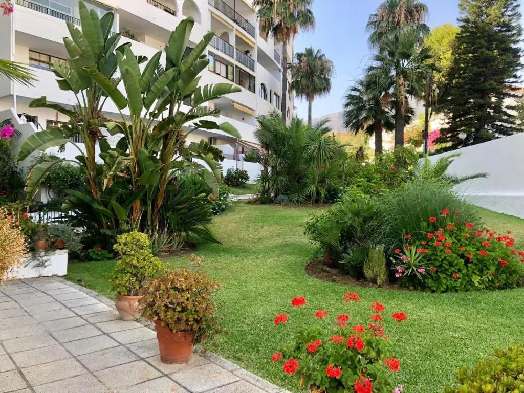 Studio Orquídea Beach 4