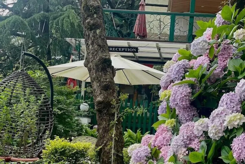 Mongas Hotel & Resort