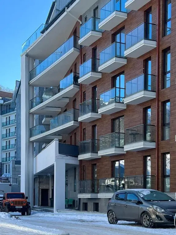 Cozy Apartment in Orbi Bakuriani
