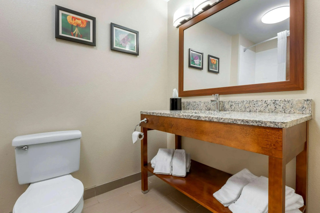 Comfort Inn & Suites Lenoir Hwy 321 Northern Foothills