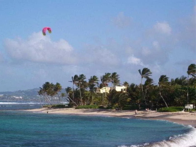 Hibiscus Beach Resort