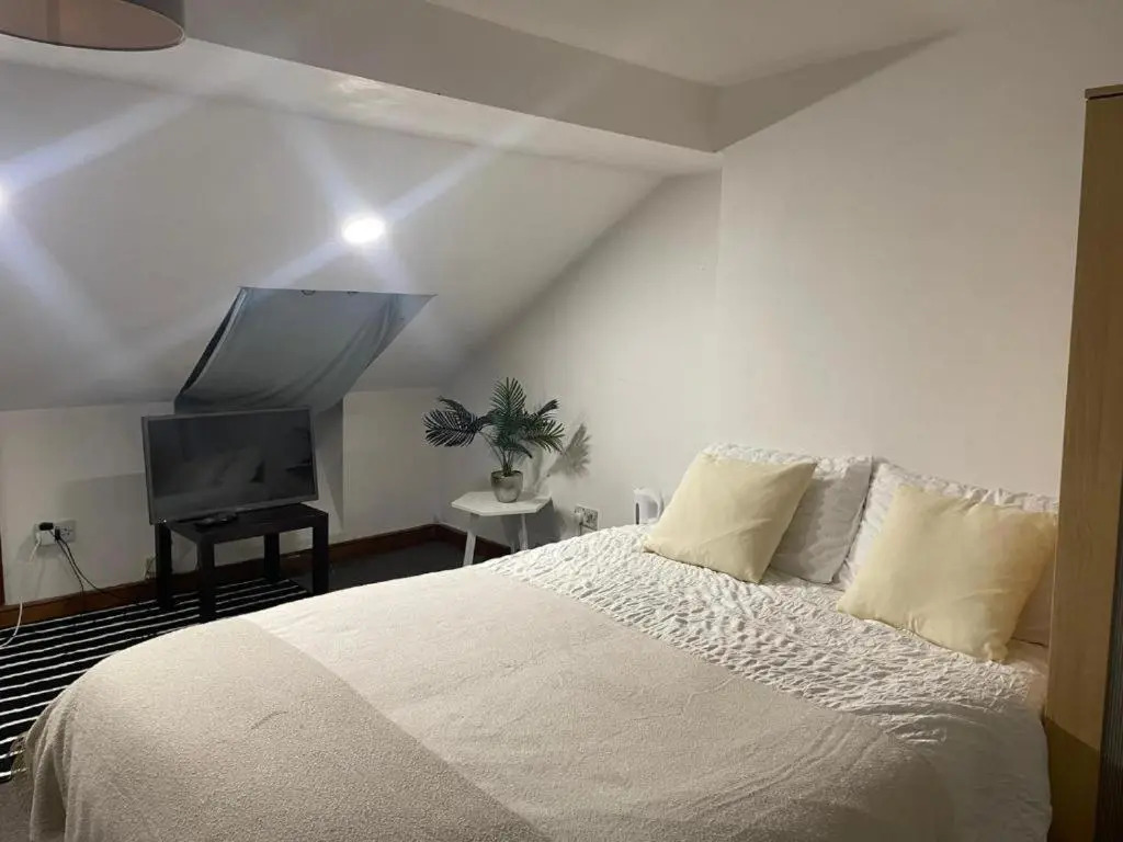 Great Value Bedroom Fern 4