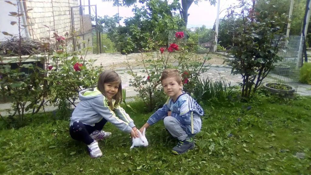 Family Hotel In Nukriani , 2km from Sighnaghi